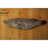 在飛比找蝦皮購物優惠-【禧福水產】台灣點帶大石斑魚◇$特價380元/600-700