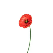 Garden 75cm Metal Stake Poppy Large Floral Ornament Outdoor Flower Decor Red