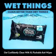 DUDE Wipes Flushable Wipes - 1 Pack, 48 Wipes - Unscented Extra-Large Wet Wipes