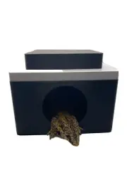 Humid Reptile Hide