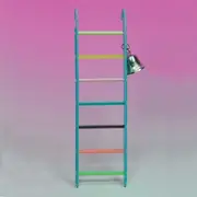 Plastic Ladder with Bell for Birds