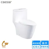 在飛比找momo購物網優惠-【CAESAR 凱撒衛浴】省水單體馬桶(CF1363 不含安