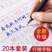 在飛比找樂天市場購物網優惠-成人練字帖 練字簿 練字帖 行楷字帖成人練字行書凹槽練字帖成