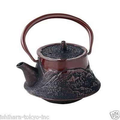 Nanbu Tetsubin - Mt.Fuji Landscape - 0.3 Liter - Japanese cast iron teapot w net