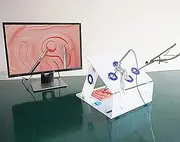 Laparoscopic Surgery Simulated Training Box, Laparoscopic Simulator,Complete Surgery Training Set,with 5 Training Modules, for Medical Doctor and Students (Color : A)