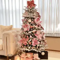 在飛比找樂天市場購物網優惠-聖誕樹 圣誕裝飾品場景布置2022新款圣誕樹家用網紅粉色圣誕