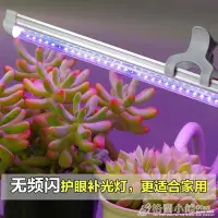 在飛比找Yahoo!奇摩拍賣優惠-易美植物生長燈植物補光燈全光譜室內多肉補光燈食蟲草led花卉