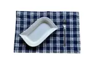 Placemats Set of 8 - Blue White Plaid Print Cotton Canvas