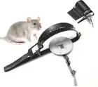 10Pcs Small Rat Trap Mouse Hunting Cage Traps Antique Catcher Traps Outdoor Hunt