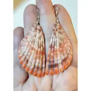 Natural Sea Shell Drop Earrings With Silver Hooks Handmade Beach Jewelry