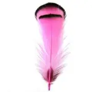 Hot Pink Silver Amherst Pheasant Plumage - 5 grams ((BULK PACK))