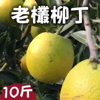 在飛比找台灣好農優惠-This味鳳梨販賣部 老欉柳丁10斤