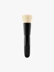 Blender Brush