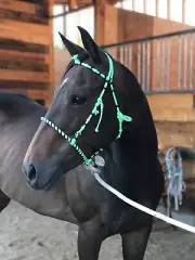 Custom Handmade Horse Bosals, Bosales Charros Hechos a Manos, Excellent Quality