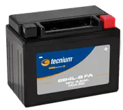 TECNIUM Battery Maintenance Free Factory Activated - BB4L-B