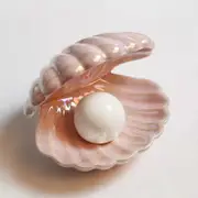 Sztxj Shell Pearl Light Led Accent Lamp Portable Night Light - Dontodent Pink