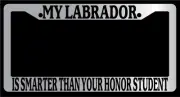 Chrome License Plate Frame "My Labrador Is Smarter Than Your Honor Student" Auto