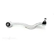 Wasp Control Arm - WBJ13518