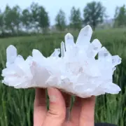 490g Natural Clear Quartz Cluster Quartz Crystal Point Specimen Reiki Decor