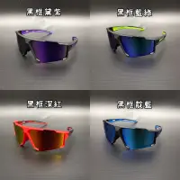 在飛比找蝦皮購物優惠-CATEYE A.R. Polarized Eyewear 