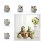 Cartoon Owl Ceramic Pots Ceramic Owl Shaped Flowerpot Living Room