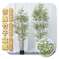 在飛比找蝦皮購物優惠-竹子 竹林 仿真植物 仿真盆栽 居家裝飾 室外植栽 室內植栽