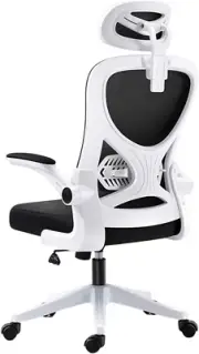 Ergonomic Office Chair, High Back Desk Chair Computer Task Mesh Chair with Adjus