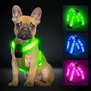 PZRLit Light Up Dog Harness for Small Dogs Rechargeable, LED Dog Vest Harness, Adjustable Illuminated Glow in Dark Dog Harness for Puppy Night Safety Walking 360° True Illumination-Green
