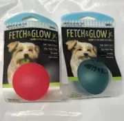 AMERICAN DOG TOYS Fetch and Glow Ball Dog Toy for SM Dogs 2PCK, Assorted