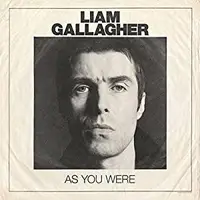 在飛比找誠品線上優惠-As You Were (180g Vinyl)