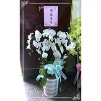 在飛比找蝦皮購物優惠-桃園花店【歐式綠坊花苑】【gtco391】追思蝴蝶蘭盆景~靈