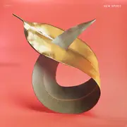 Pvt - New Spirit Vinyl Record New Music Album