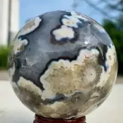 467G Natural black Sakura agate quartz crystal sphere treatment ball sample