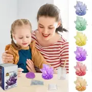 Grow a Crystal Crystal Growing Science Kit Crystal Making Kit DIY Craft Kids Toy