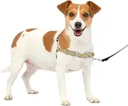 PetSafe Easy Walk Dog Harness, No Pull Dog Harness, Fawn/Brown, Small