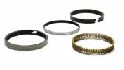 TP PISTON RING SET 1.00MM for TOYOTA 1HZ 1HD-T Landcruiser DIESEL (for: Toyota)