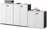 File Cabinet Black and White Combination Cabinet Wooden Short Filing Cabinet with Lock Office Data Sundry Storage Cabinet Office Drawer