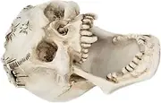 COHEALI 2pcs Skull Pen Holder Accessories Pen Container Pen Cup Kitchen Drawer Organizer Makeup Bag Stationery Makeup Brush Holder Mirror Cutlery Tray Cosmetics Organiser Clear Resin White
