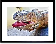 Animal Photo Iguana Lizard Head Framed Wall Art Print
