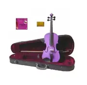 Purple Violin,Case,Bow,Bridge,Rosin+E String~4/4 3/4 1/2 1/4 1/8 1/10 1/16