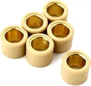 6PC Variator Roller 13g Weights 21x17mm for Gi-le-ra Ru-n-ner Vx-VXR 200 Nexus Eu3 250 300cc Oregon 250cc