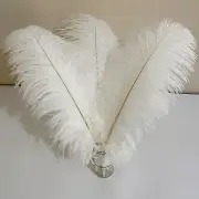 10pcs White Ostrich Feathers 20-24 inch Fluffy Feather for Crafts Vase Weddin...