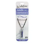 Wishstone Collection Sodalite Point Pendant