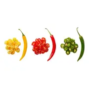 Chilli - Cayenne Mix seeds