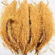Coconut Husk Fiber Natural Organic Coco Coir Growing Anthurium Orchids Ceylon