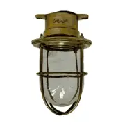 Brass Nautical Caged Lamp with Clear Globe - Miletich