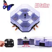 Reusable Large Cockroach Lizard Insect Trap Killer ECO Non Poison Catcher Box NJ