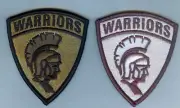 ARMY JROTC - WHITE COUNTY HIGH SCHOOL SSI SET - 2 DIFFERENT PIECES .. NICE!