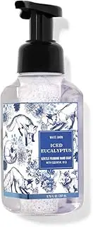 Gentle Foaming Hand Soap w/Essential Oils- 8.75 fl oz - Fall 2020 - Many Scents! (Iced Eucalyptus)