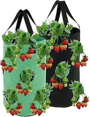 2Pack 3 Gallon Hanging Strawberry Planter with 13 Pockets, on-Woven Fabric Strawberry Planting Bag, Vertical Garden Hanging Wall Planter for Growing Vegetables Herb Plant (Green + Black)